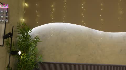 Ms Willow online show from 14, 1, 2026