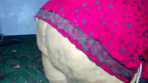 wilmaassylum online show from 4, 3, 2026