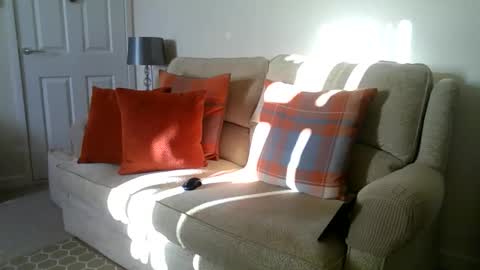 Snapshot of windy19391a chatting on 2, 12, 2025 windy19391a online show from 2, 12, 2025