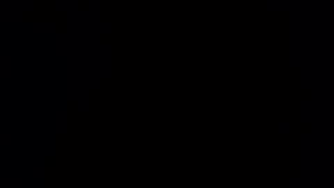 wishwood2323x online show from 23, 4, 2026