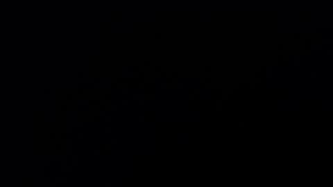 Annie online show from 19, 2, 2025