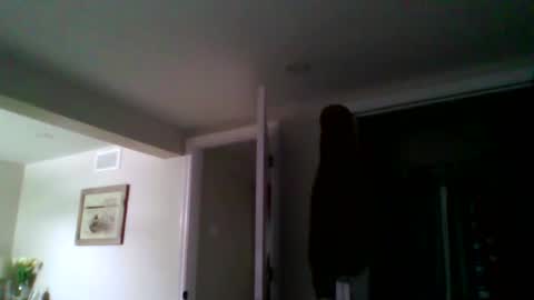 woodeee77 online show from 15, 3, 2026