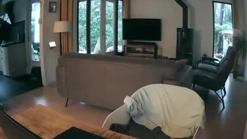 woodwurm and Snoeske online show from 19, 2, 2026