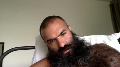 woof_wolf37 online show from 11, 9, 2025