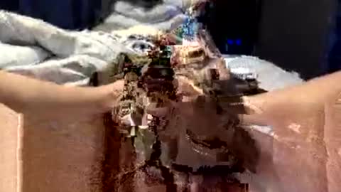 Snapshot of workplace_proximity_associate chatting on 28, 9, 2025 workplace_proximity_associate online show from 28, 9, 2025