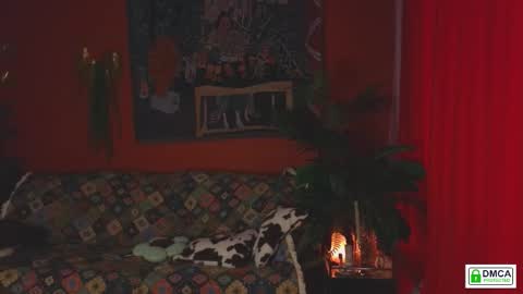 Evelin online show from 25, 3, 2026