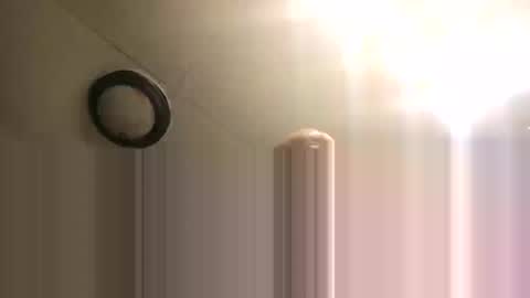 BONER DONOR online show from 26, 2, 2026