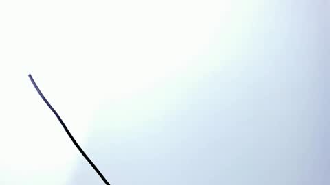 wyatt online show from 20, 12, 2025