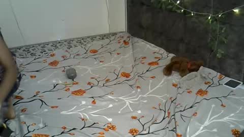 Snapshot of xalia_caramel chatting on 17, 11, 2025 Alexa online show from 17, 11, 2025