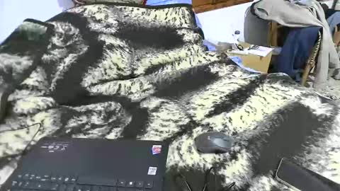 xaxi3 online show from 15, 3, 2026