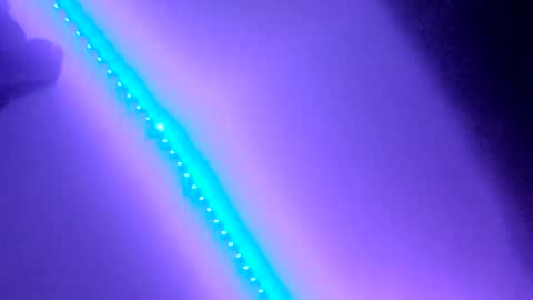 BabyGirl online show from 30, 12, 2024