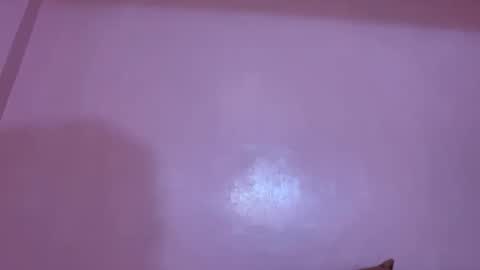 Sachi Cy online show from 11, 12, 2024