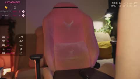    online show from 6, 2, 2026