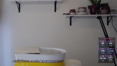 xoroxanne online show from 11, 2, 2026