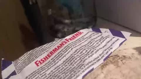 xvoyeur2011x online show from 3, 4, 2026