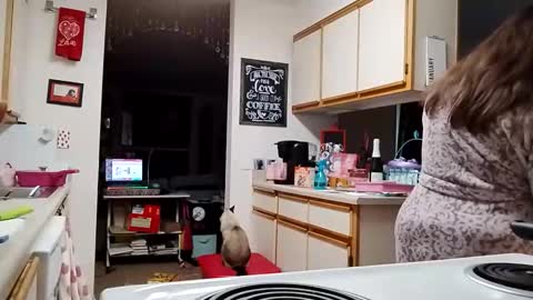 Strawberry Jane online show from 3, 2, 2026