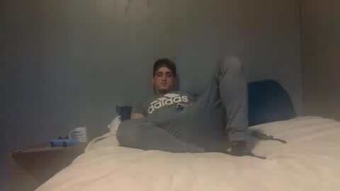 Vizzy online show from 8, 11, 2025