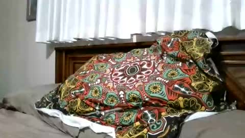 xxxloverloganxxx online show from 5, 2, 2026