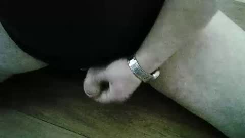 xyjjmop online show from 2, 3, 2026