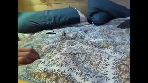 Xzbib online show from 10, 3, 2025