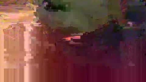 Snapshot of yangolox3 chatting on 15, 2, 2026 yangolox3 online show from 15, 2, 2026