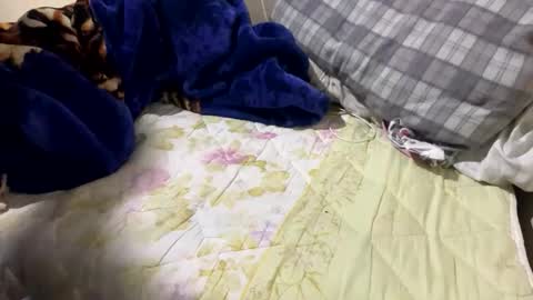 Snapshot of yasarsimo99154258 chatting on 23, 2, 2026 yasarsimo99154258 online show from 23, 2, 2026