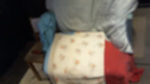 .     y e l l o w s n a k e s       . online show from 12, 1, 2026