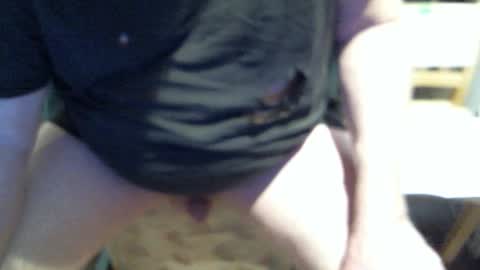 .     y e l l o w s n a k e s       . online show from 7, 2, 2026