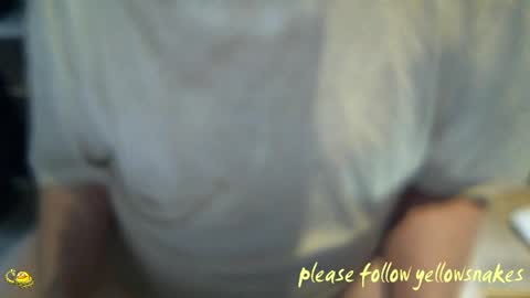 .     y e l l o w s n a k e s       . online show from 1, 4, 2026