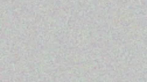 Snapshot of yellowsnakes chatting on 8, 7, 2026 . y e l l o w s n a k e s . online show from 8, 7, 2026
