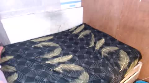 yhang_slut online show from 2, 1, 2025