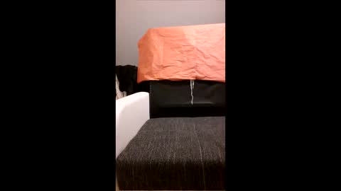 yhoxhbwehhzw online show from 20, 4, 2026