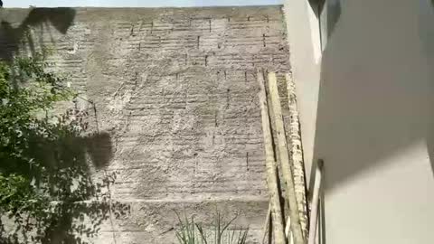 ymir1997 online show from 2, 2, 2026