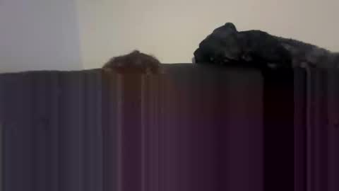 Self fucking fucktoy online show from 26, 4, 2026