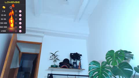 Enzo online show from 31, 1, 2025