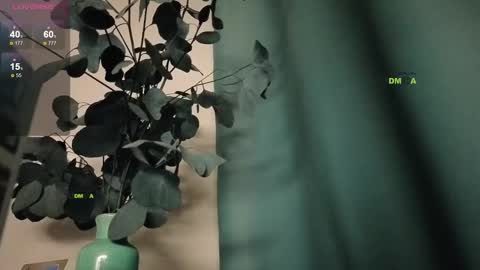 Alice online show from 25, 2, 2025