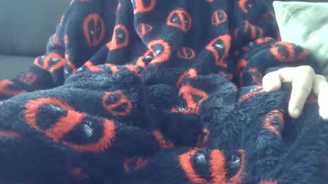 Youraccord online show from 2, 4, 2026