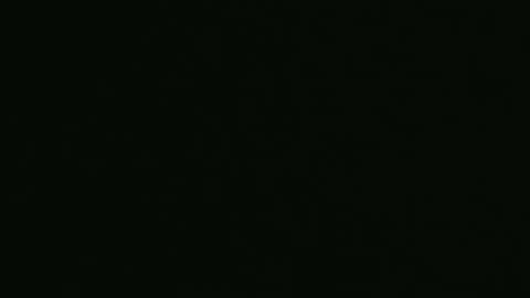 yourpersonalgeniusl online show from 27, 12, 2024