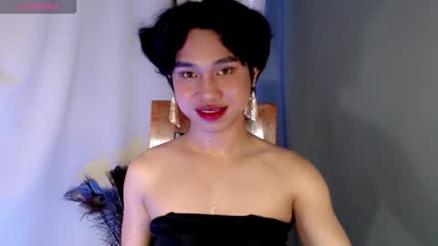Stella online show from 15, 6, 2026
