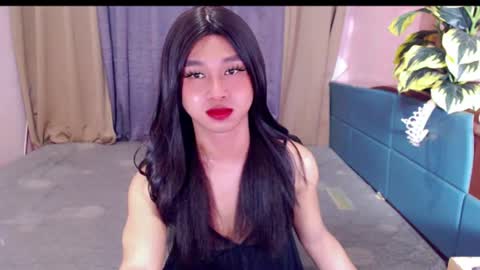 Stella online show from 23, 6, 2026