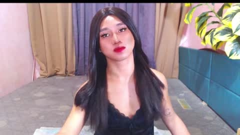 Stella online show from 8, 7, 2026