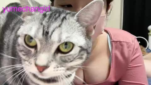 Snapshot of yumechangirl chatting on 6, 2, 2025 YumechangirlAnime Fan    online show from 6, 2, 2025