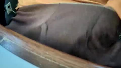 yuppers1234 online show from 19, 12, 2025