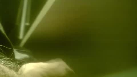 zaboski4 online show from 7, 3, 2026