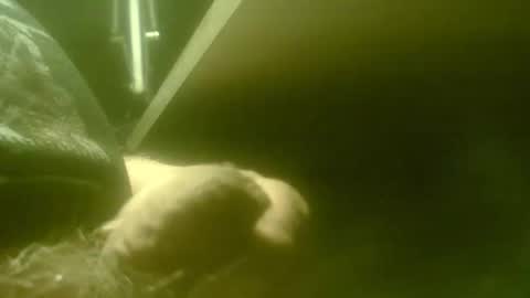 zaboski4 online show from 27, 4, 2026