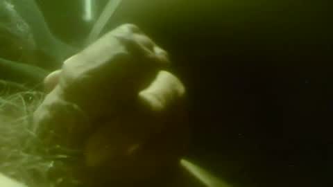 zaboski4 online show from 29, 4, 2026