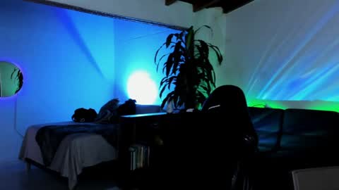 Snapshot of zac_levis chatting on 29, 12, 2024 Zac Jhordan online show from 29, 12, 2024