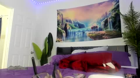 Zack Pipher online show from 30, 3, 2026