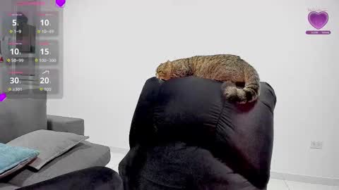 zafiralov online show from 5, 12, 2025