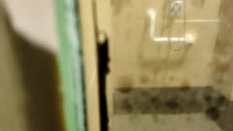 ZUL online show from 9, 2, 2026